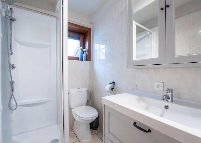 Ferienhaus Fabiola With Parking & Garden By Interhome De Haan